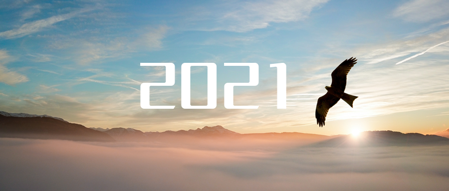 乘“峰”而上，智“盈”未來 ——2021年盈峰環(huán)境高級資深副總裁新年開工動員